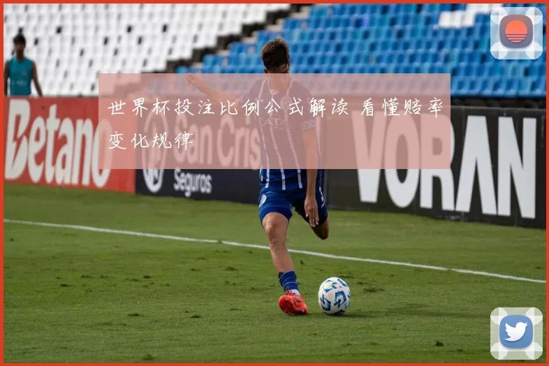 世界杯投注比例公式解读 看懂赔率变化规律