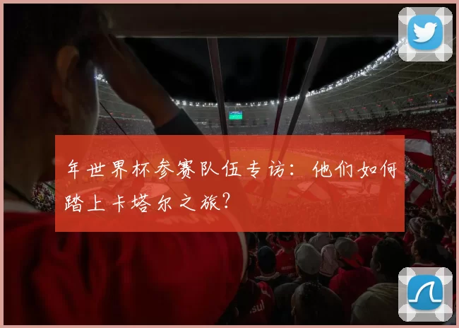 年世界杯参赛队伍专访：他们如何踏上卡塔尔之旅？