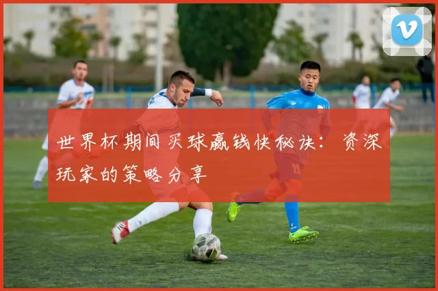 世界杯期间买球赢钱快秘诀：资深玩家的策略分享