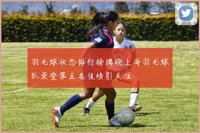 羽毛球状态排行榜揭晓上海羽毛球队荣登第五名佳绩引关注