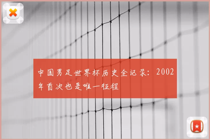 中国男足世界杯历史全记录:2002年首次也是唯一征程