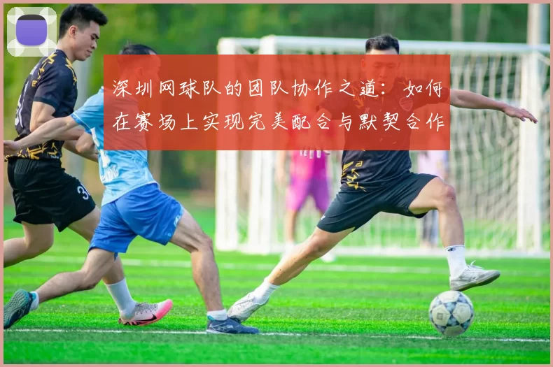 深圳网球队的团队协作之道:如何在赛场上实现完美配合与默契合作
