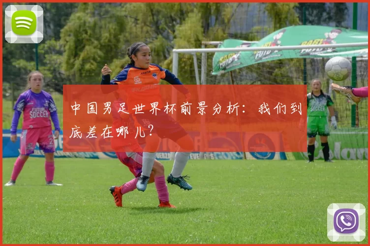 中国男足世界杯前景分析:我们到底差在哪儿?
