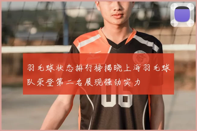 羽毛球状态排行榜揭晓上海羽毛球队荣登第二名展现强劲实力