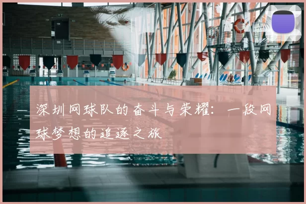 深圳网球队的奋斗与荣耀:一段网球梦想的追逐之旅