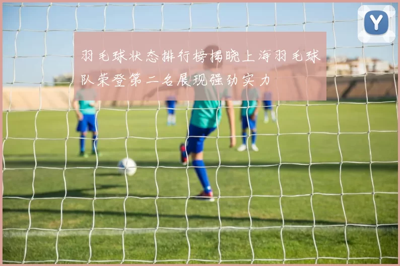 羽毛球状态排行榜揭晓上海羽毛球队荣登第二名展现强劲实力