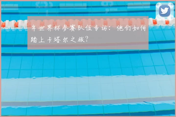 年世界杯参赛队伍专访：他们如何踏上卡塔尔之旅？