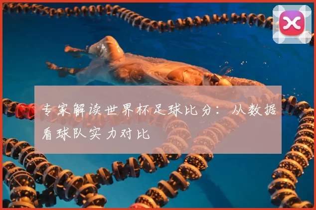 专家解读世界杯足球比分:从数据看球队实力对比
