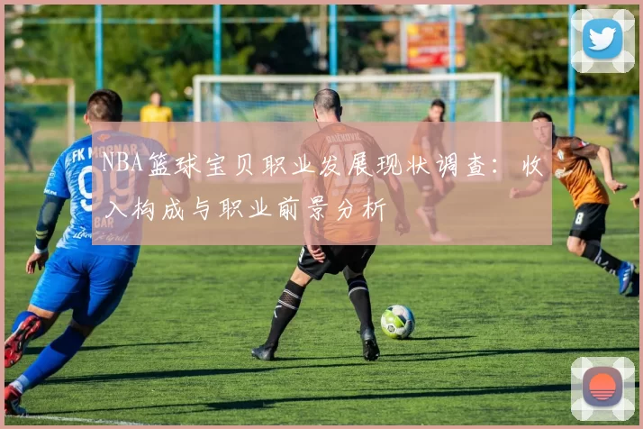 NBA篮球宝贝职业发展现状调查：收入构成与职业前景分析
